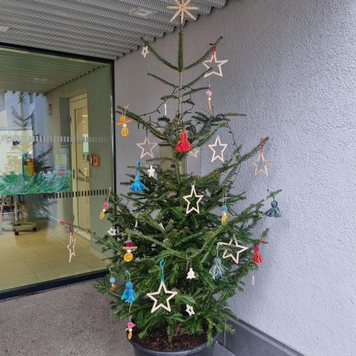Weihnachtsbaumaktion_24