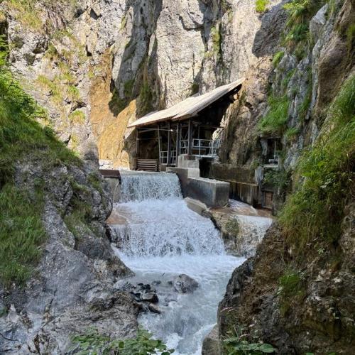 Wandertag der 4m zum Zammer Lochputz