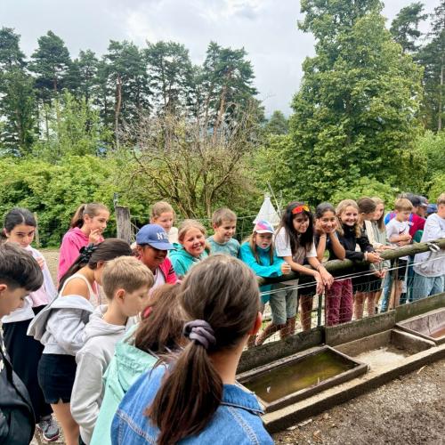 Abschlussausflug der Viertklässler:innen zum Natterer Boden im Juni 2026