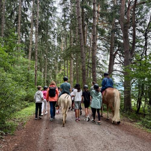 Abschlussausflug der Viertklässler:innen zum Natterer Boden im Juni 2026