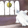 Mitternacht